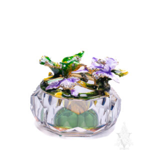 Glass Box Hummingbird