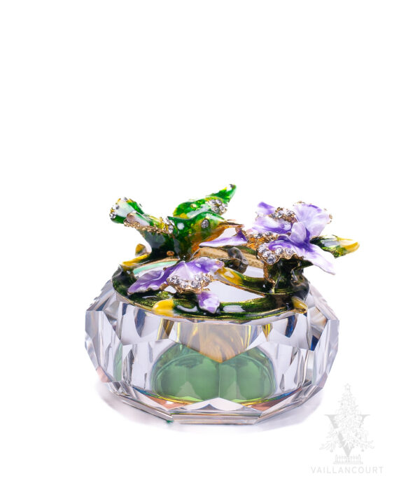 Glass Box Hummingbird