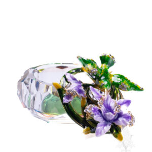 Glass Box Hummingbird