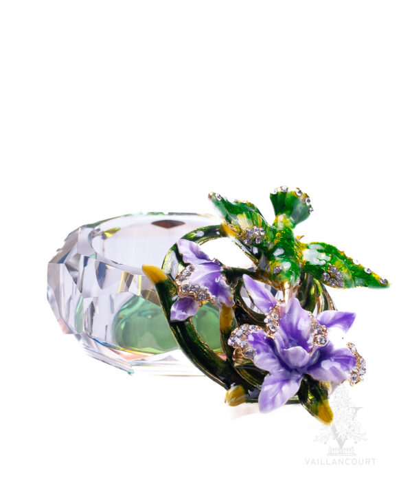 Glass Box Hummingbird