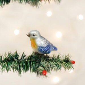 Baby Blue Bird