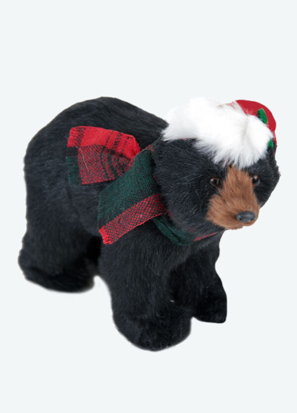 Byers Black Bear Walking