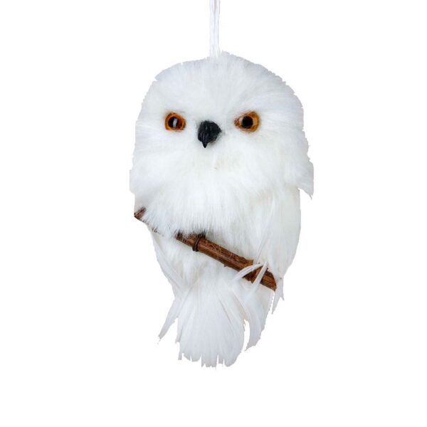 White Owl Hanging With Branch