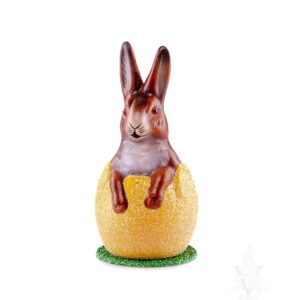 Brown Bunny In Yellow Egg