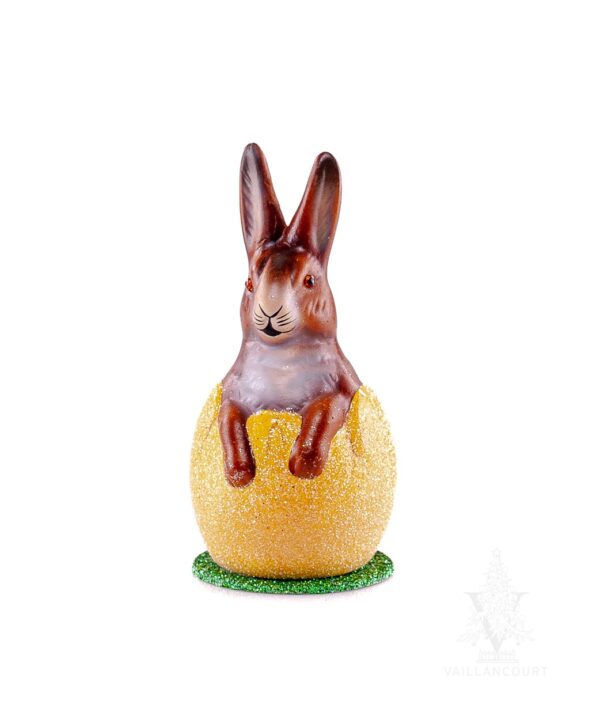 Brown Bunny In Yellow Egg