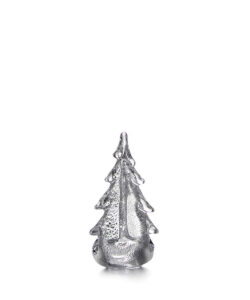 Silver Leaf Evergreen
