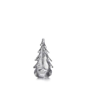 Silver Leaf Evergreen