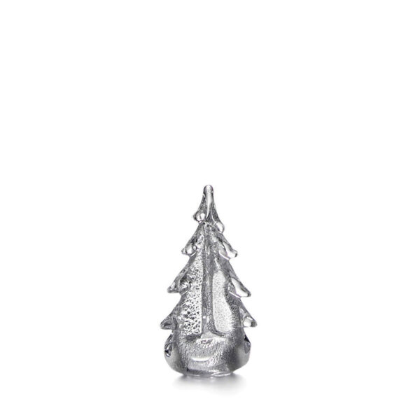 Silver Leaf Evergreen