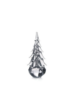 Five Sided Evergreen