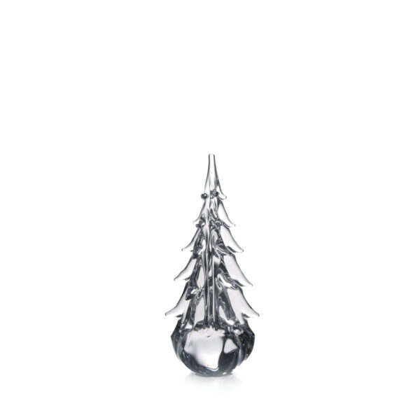 Five Sided Evergreen