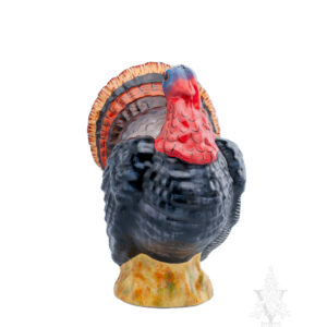 Prize-Sized Wild Turkey