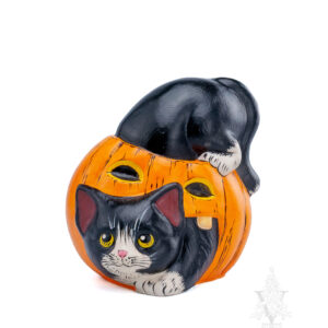 Halloween Kitty in Jack O'Lantern