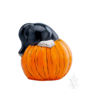 Halloween Kitty in Jack O'Lantern
