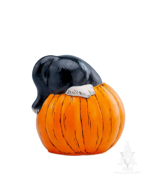 Halloween Kitty in Jack O'Lantern
