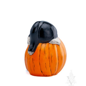 Halloween Kitty in Jack O'Lantern