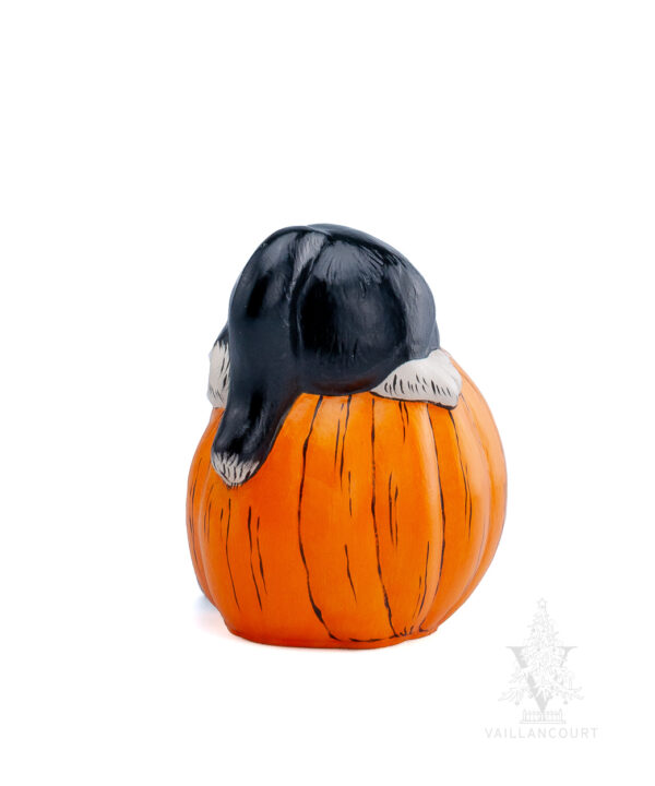 Halloween Kitty in Jack O'Lantern