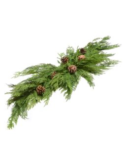 Cedar/Pine Swag