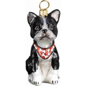 Boston Terrier With Bandana