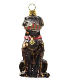 Black Lab With Slipper